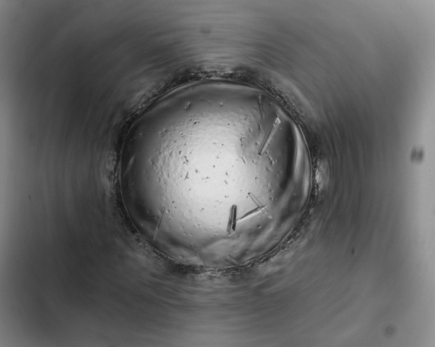 X0000102500867200808221751