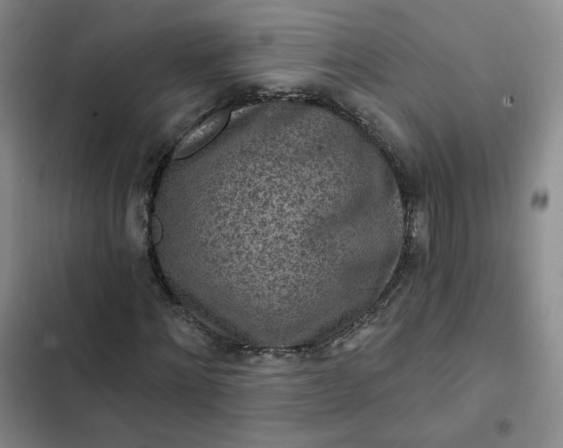 X0000102500868200808221751