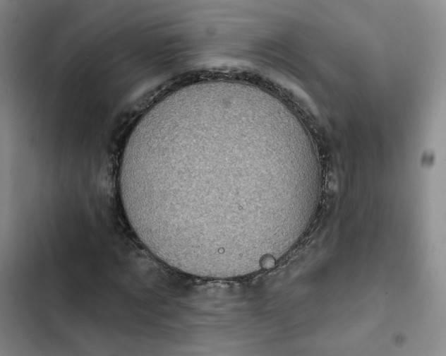 X0000102500869200808221751