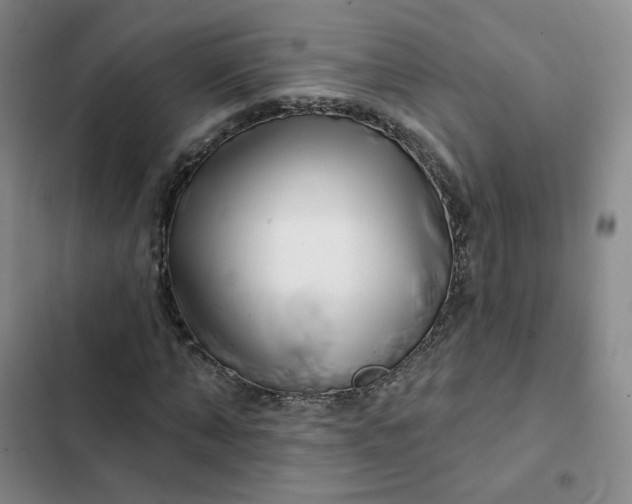 X0000102500870200808221751