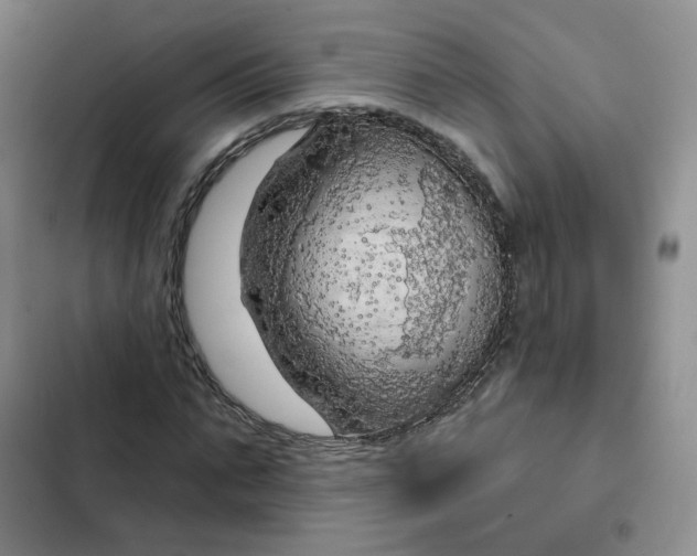 X0000102500871200808221751