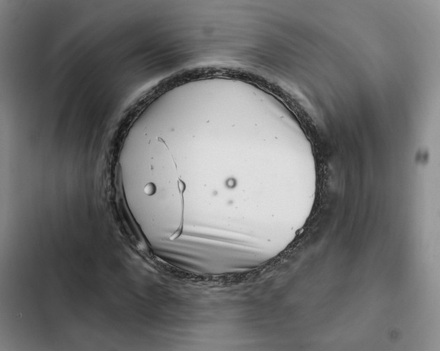 X0000102500872200808221751