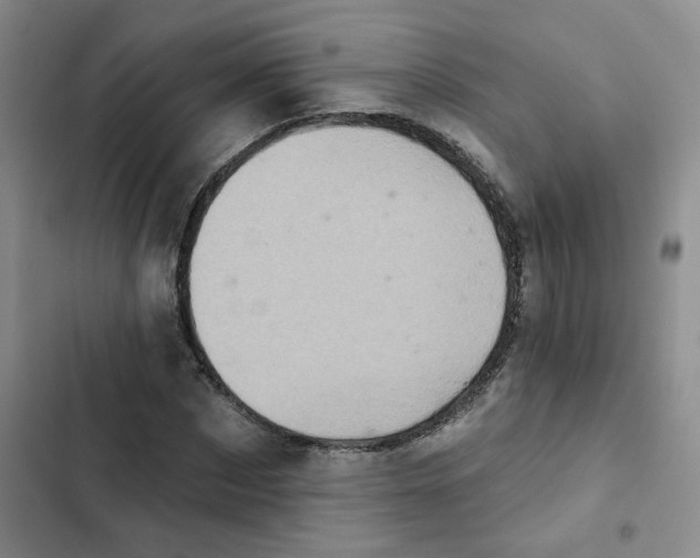 X0000102500873200808221751