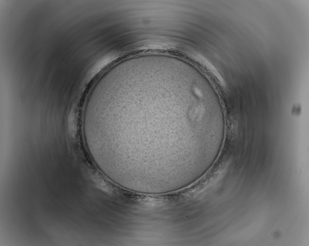 X0000102500874200808221751