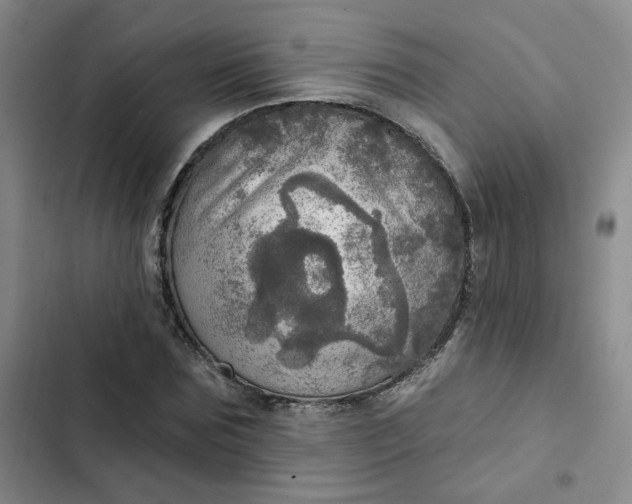 X0000102500875200808221751