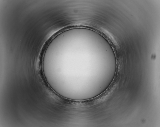 X0000102500876200808221751