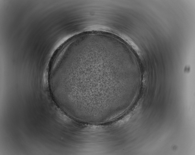 X0000102500877200808221751