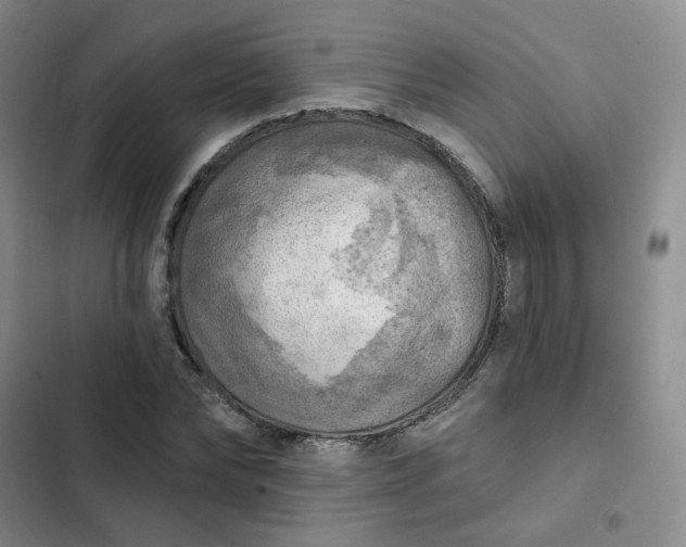 X0000102500878200808221751