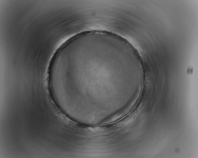 X0000102500879200808221751