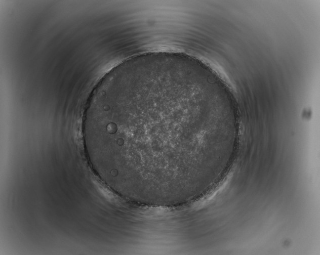 X0000102500881200808221751