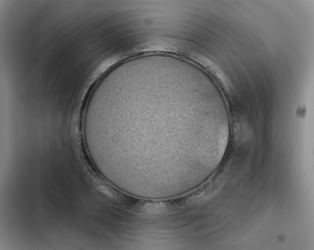 X0000102500882200808221751