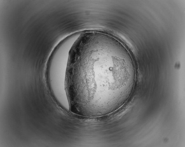 X0000102500883200808221751