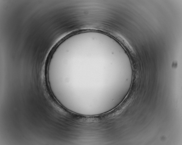 X0000102500884200808221751