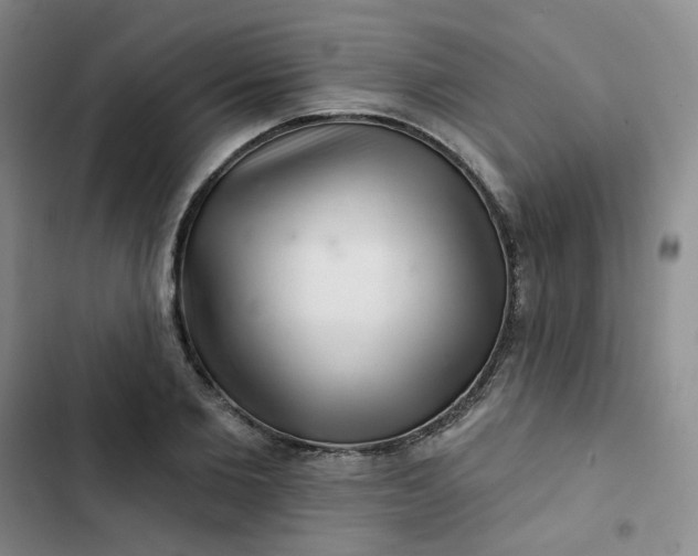 X0000102500885200808221751