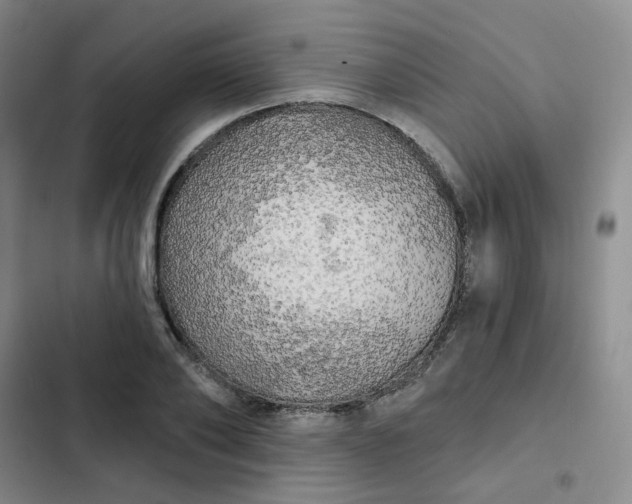 X0000102500886200808221751