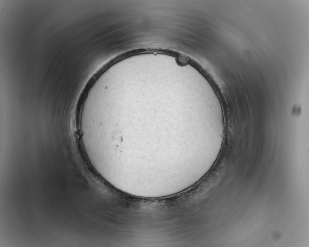 X0000102500887200808221751