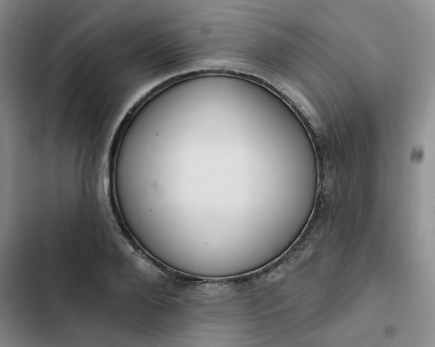 X0000102500888200808221751