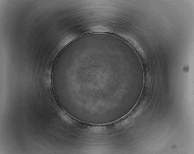 X0000102500889200808221751