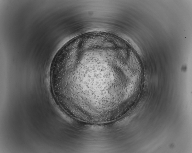 X0000102500890200808221751