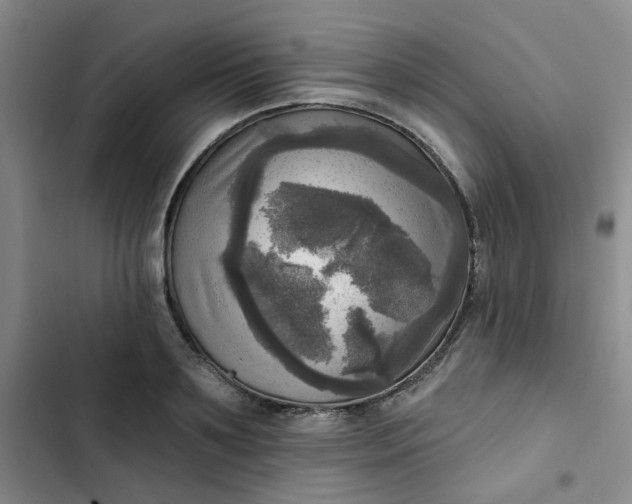 X0000102500891200808221751