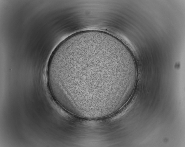 X0000102500892200808221751