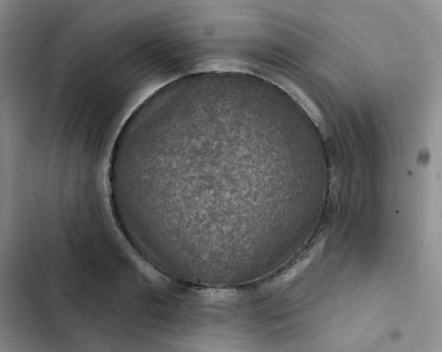 X0000102500893200808221751