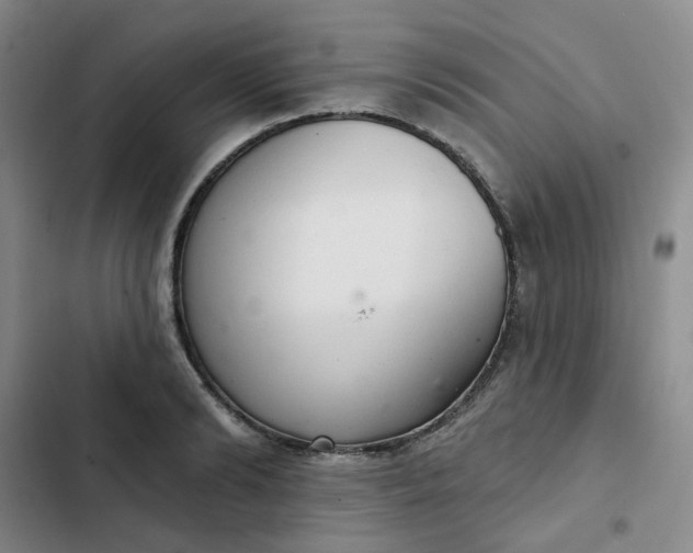 X0000102500894200808221751