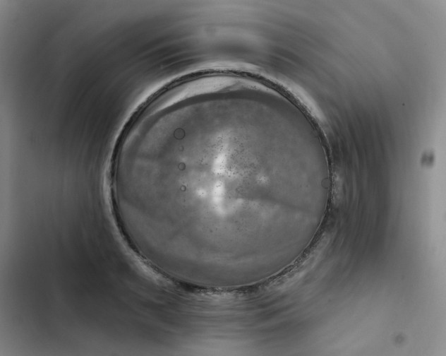 X0000102500895200808221751