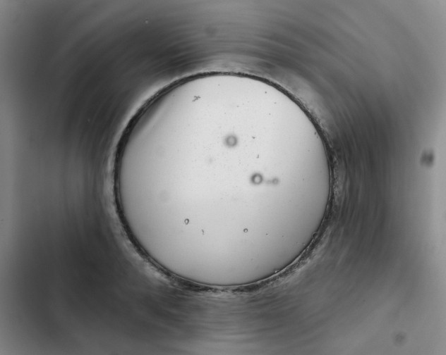 X0000102500896200808221751