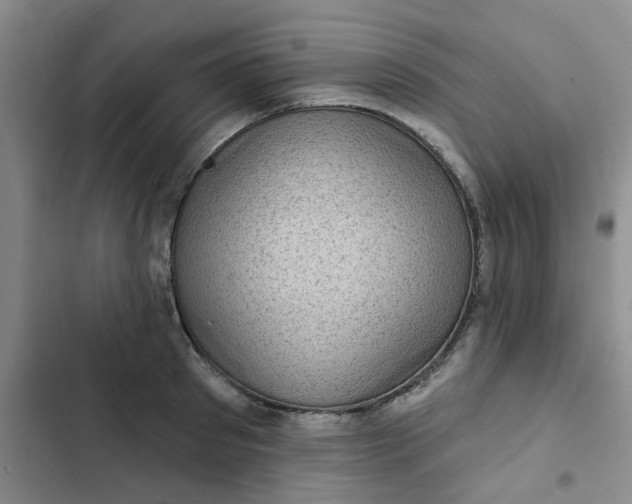 X0000102500897200808221751