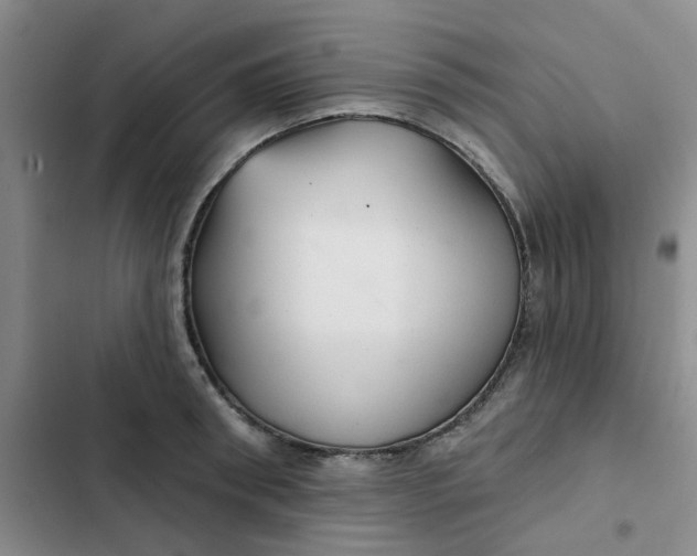 X0000102500898200808221751