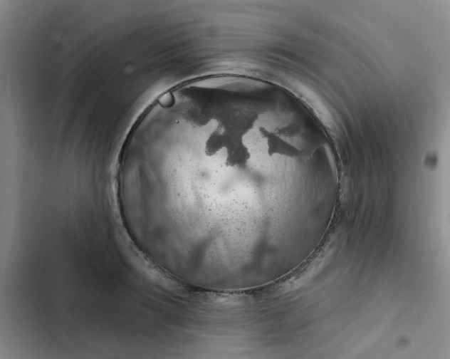 X0000102500899200808221751