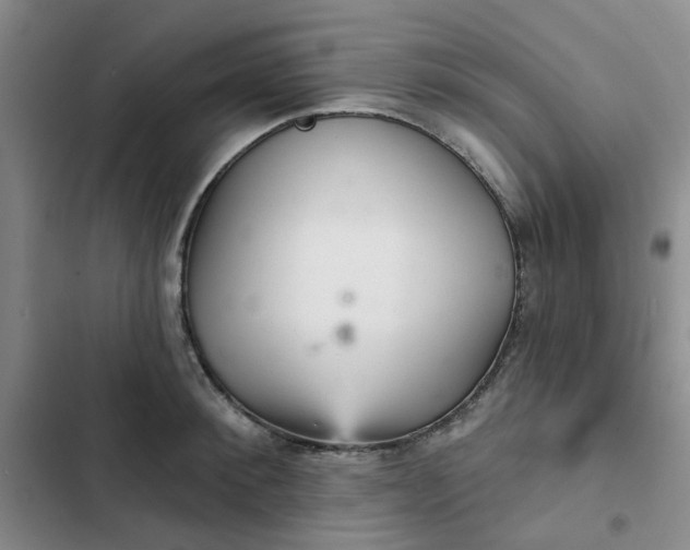 X0000102500900200808221751