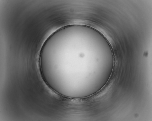 X0000102500901200808221751