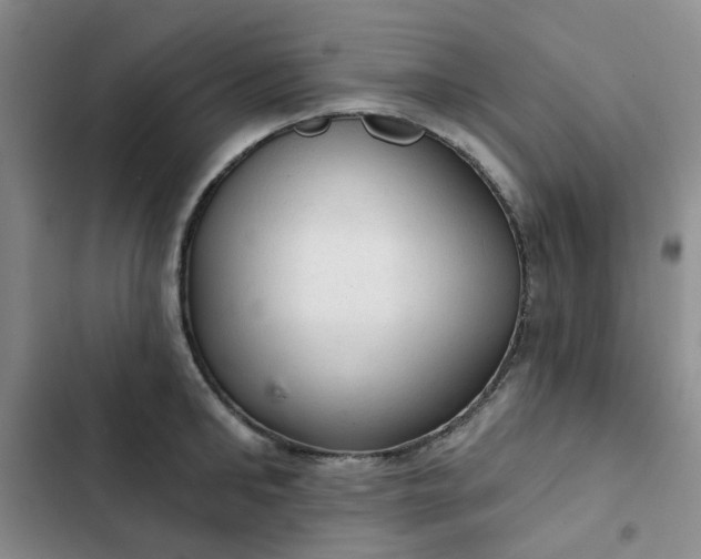 X0000102500902200808221751