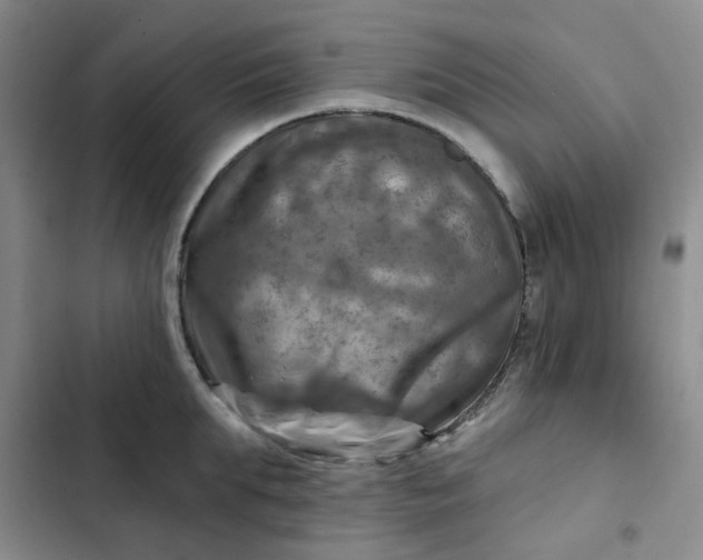 X0000102500903200808221751