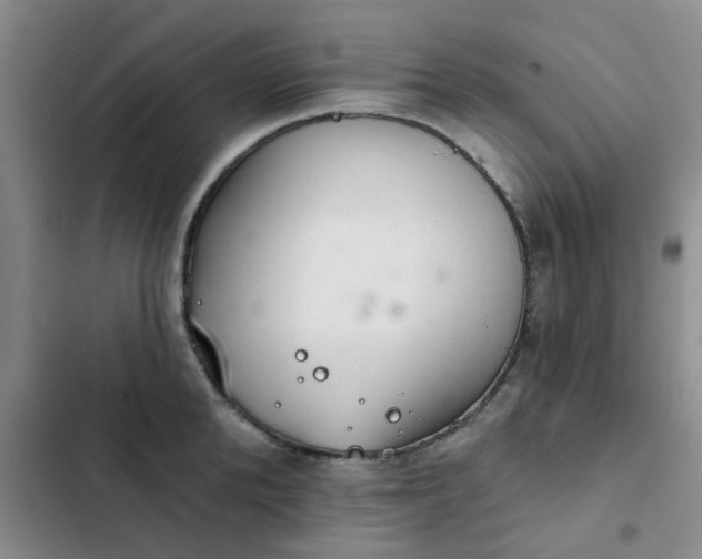 X0000102500904200808221751