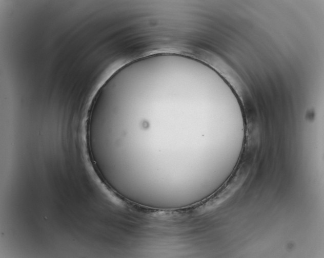 X0000102500906200808221751