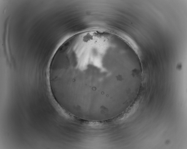 X0000102500907200808221751