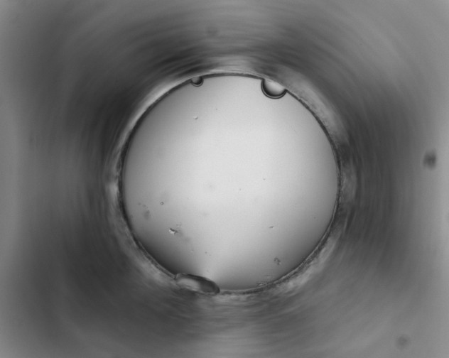 X0000102500908200808221751