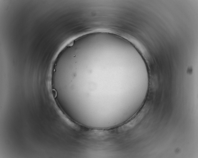 X0000102500910200808221751