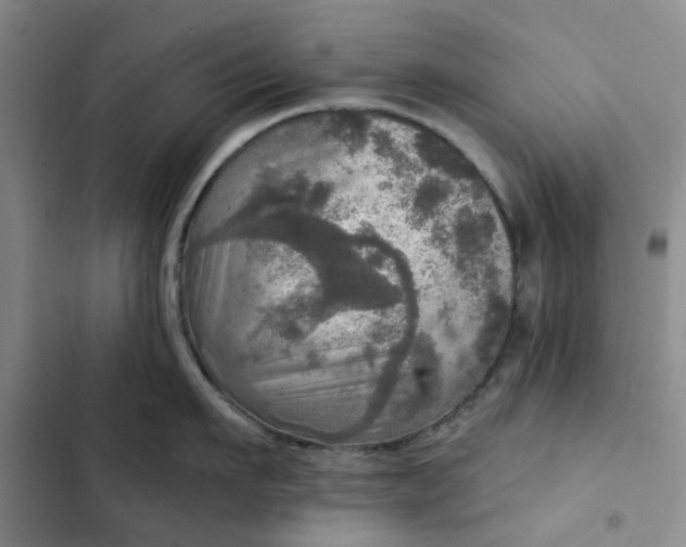 X0000102500911200808221751