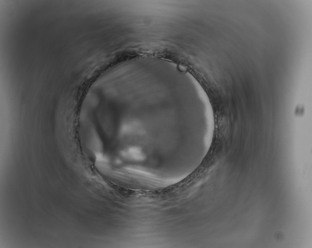 X0000102500913200808221750