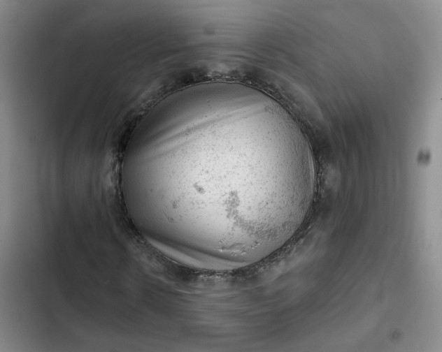 X0000102500914200808221750