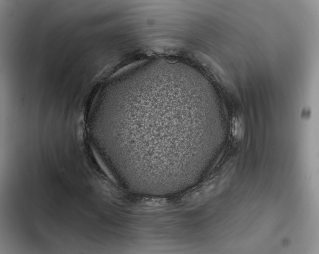 X0000102500915200808221750