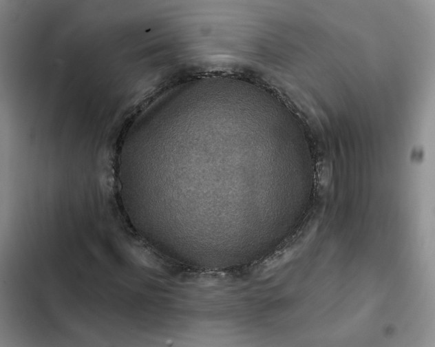 X0000102500916200808221750