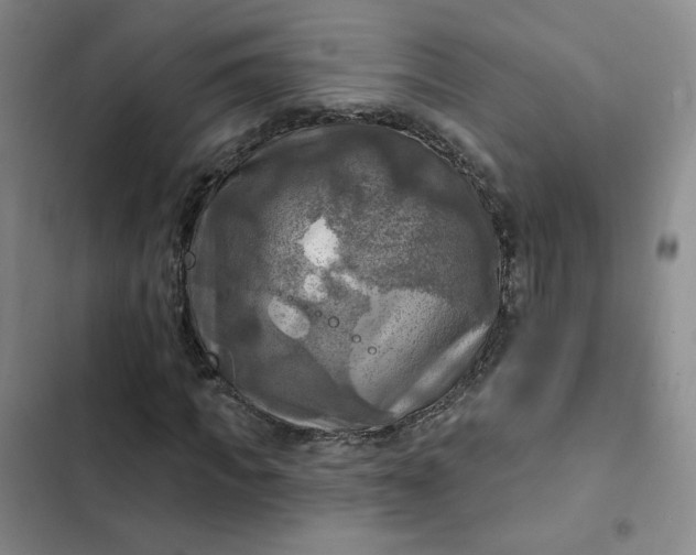 X0000102500917200808221750