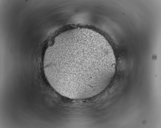 X0000102500918200808221750