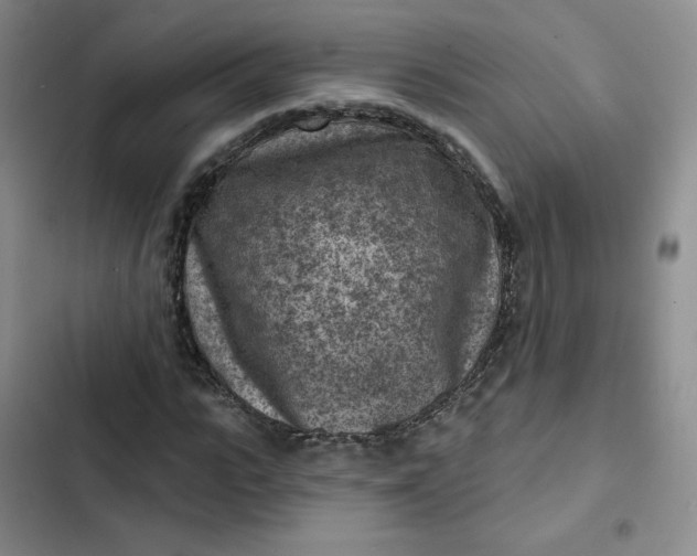 X0000102500919200808221750