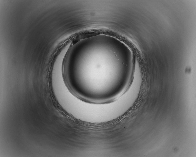 X0000102500920200808221750